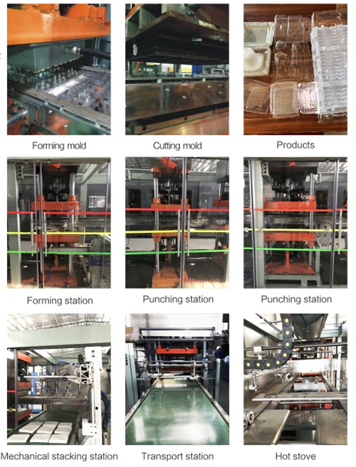 fully automatic plastic thermoforming punching machine