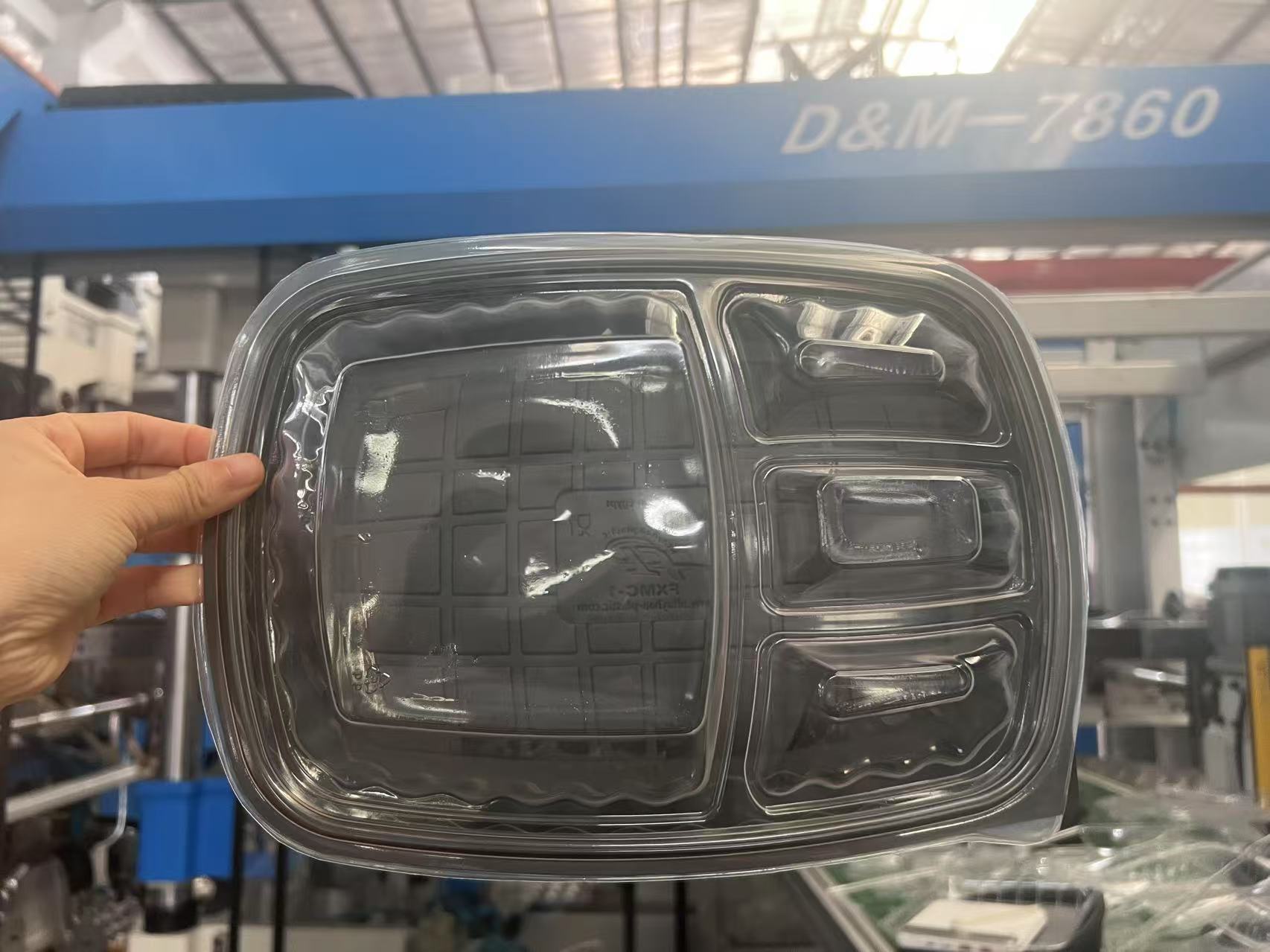 PP Lunch tray with 4 divided cover to Egypt DM60 (2)