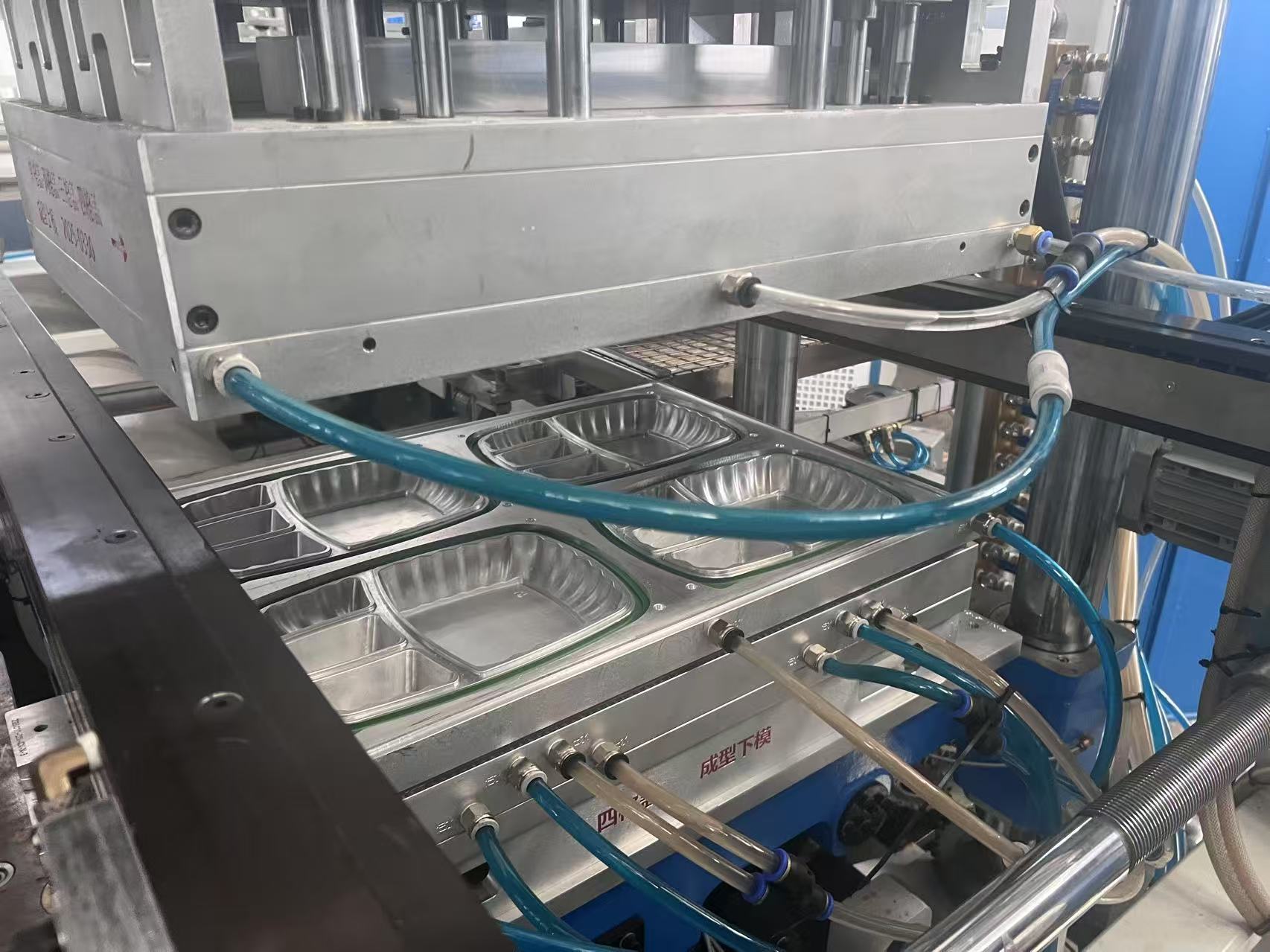 PP Lunch tray with 4 divided cover to Egypt DM60 (2)