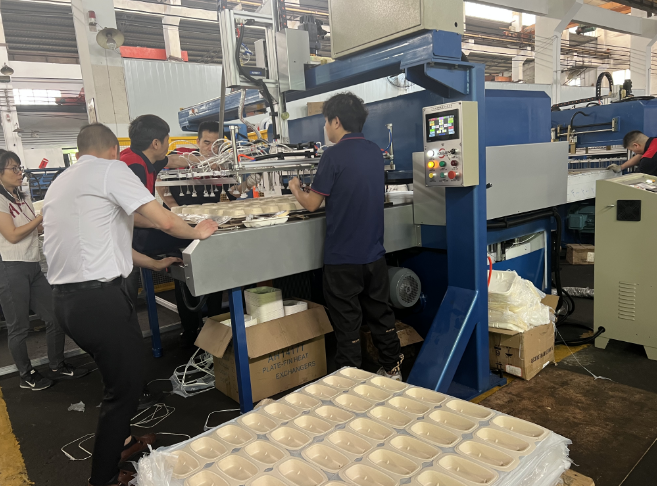 Paper Pulp Tableware Trimming Machine With auto Pickup