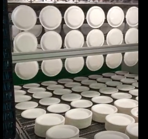 Pulp food container cutting machine with Robot arm