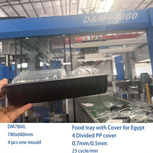 PP Lunch tray with 4 divided cover to Egypt DM60